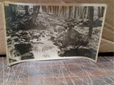 Vintage Photos Lot Of 8 Scenic Memory Bridge Statue Nature Peer Stream Landmarks