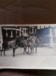 Vintage Photos Lot WWII Horses Family Soldiers Mahoney Camouflaging A Ford