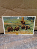 Vintage Postcards Rawleigh Arizona Hindenburg Pittsburg Wyoming Orleans Chicago