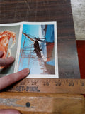 Vtg Fishermans Wharf San Francisco California Mirro-Krome Post cards Smith News