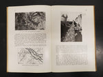 Antiques 1920 Verdun & The Battles For Its Possession Book 1914-1918 Illustrated
