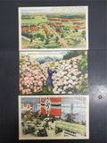 Vtg Post Cards San Fran & Patton Museum KY W/ John Adams USPS 2 Cent Stamp on 2