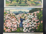 Vtg Post Cards San Fran & Patton Museum KY W/ John Adams USPS 2 Cent Stamp on 2