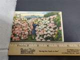Vtg Post Cards San Fran & Patton Museum KY W/ John Adams USPS 2 Cent Stamp on 2