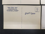 Vtg Lot Post Cards Kentucky & Patriotic Military W/John Adams 2 Cent USPS Stamp