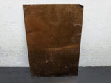 Antique 1800s Tin Type Photo Woman 2 Men in Countryside Unique Collectible Rare