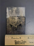 Antique 1800s Tin Type Photo Woman 2 Men in Countryside Unique Collectible Rare
