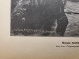 WW1 1914 Art by Anton Hoffman Excerpt From Illustrated Story German Publication