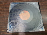 Frank Sinatra She Shot Me Down Reprise Record Vinyl Album 1981 Warner Brothers