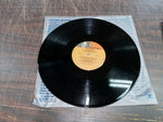 Frank Sinatra She Shot Me Down Reprise Record Vinyl Album 1981 Warner Brothers