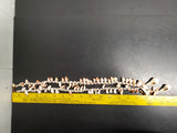 Vtg Miriam Haskell Seashell & Pearl Ornate Women's Necklace Jewelry Collectible