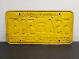 Vtg 1976 Pennsylvania License Plate 5S4-503 Bicentennial State Automobile Collec