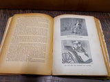 VTG 1901 Illustrious Life William McKinley Martyred President Murat Halstead