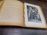 VTG 1901 Illustrious Life William McKinley Martyred President Murat Halstead