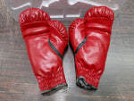 Everlast Boxing Gloves Both Autographed Brian Minto 2004 Collectible History