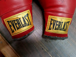 Everlast Boxing Gloves Both Autographed Brian Minto 2004 Collectible History