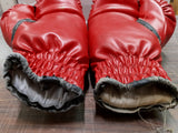 Everlast Boxing Gloves Both Autographed Brian Minto 2004 Collectible History