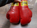 Everlast Boxing Gloves Both Autographed Brian Minto 2004 Collectible History