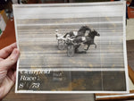 Vtg Clearfield Horse Racing Kodak Photo Herbert Win Place Show In Heirloom Frame