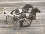 Vtg Clearfield Horse Racing Kodak Photo Herbert Win Place Show In Heirloom Frame