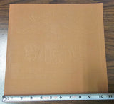 Harley 1977 XLCR Sportster Superglide  Electra FLH NOS Brochure Literature 11x11