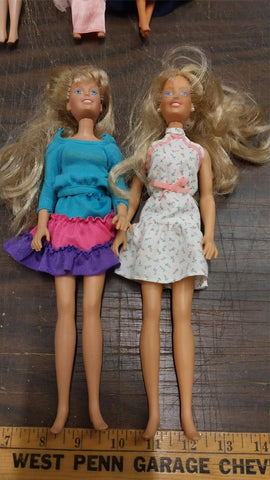 1980s Hasbro Sister Barbies Pink Flower Dress Blue Ruffle Blonde Hair Blue Eyes