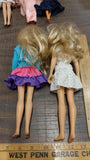 1980s Hasbro Sister Barbies Pink Flower Dress Blue Ruffle Blonde Hair Blue Eyes