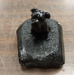 Pennsylvania Hard Coal Black Small English Bulldog Pet Animal Collectible Carved