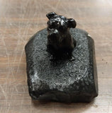 Pennsylvania Hard Coal Black Small English Bulldog Pet Animal Collectible Carved