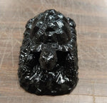 Turtle Collectible Black Hand Crafted Pa Coal Reptile Tortoises Pet Animal Wild
