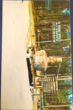 VTG Georgia Real Still Copper Turpentine Still Souvenir Collectible Postcard