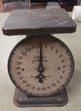 Vintage American Family Scale Weighs 25 Pounds by Ounces Kitchen Baby Green