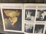 1936 Beautiful Masterpieces Book Painting History Age of Innocence Baby Stuart