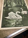 VTG 1909 Antique Modern Sanitation Catalog Vol VI June No 7 Literature magazine