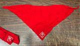 VTG 1950s Boy Scouts of America Lot of 2 Red Neckerchief bandana & sash