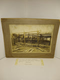 Vintage Old Photograph 2 Men Tending a Wood Shaded Simulated Wild Ginsing Patch?