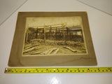 Vintage Old Photograph 2 Men Tending a Wood Shaded Simulated Wild Ginsing Patch?