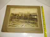 Vintage Old Photograph 2 Men Tending a Wood Shaded Simulated Wild Ginsing Patch?