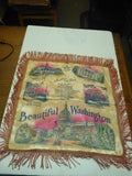 Vintage Satin Souvenir Washington DC Pillow Case Sham 17" Famous Sights of DC