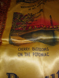 Vintage Satin Souvenir Washington DC Pillow Case Sham 17" Famous Sights of DC
