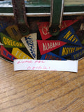 Vtg Colleges and University Banners Tin Oval Lunch Pail Bucket 2 Handles Sewing
