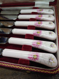 Vtg Fortnum & Masun Piccadilly Dinner Knife Set Ceramic Handle Orig Case England