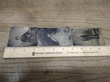 Vtg 3 Pc Civil War Era Tin Type Photograph Lot Woman Man Baby Family Posing