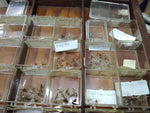 Vtg Fenwick Counter Top Tied Fly Display Case 100+ Flies Hing Lid 23x15 Fishing