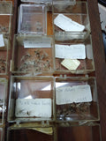 Vtg Fenwick Counter Top Tied Fly Display Case 100+ Flies Hing Lid 23x15 Fishing