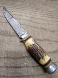Vtg Solingen Cutlery R. Svoboda Fixed 4.5" Blade Hunting Knife Stag 4" Handle