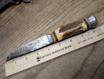 Vtg Solingen Cutlery R. Svoboda Fixed 4.5" Blade Hunting Knife Stag 4" Handle