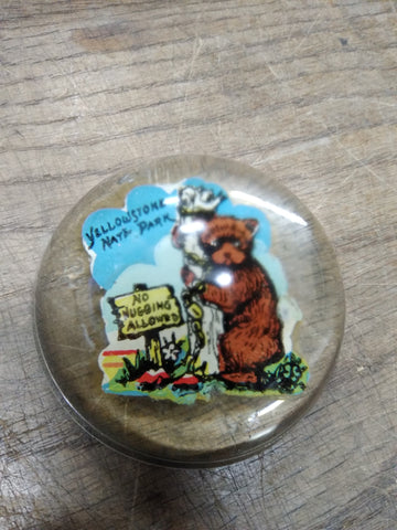 Vtg Yellowstone National Park Glass Paper Weight No Hugging Allowed Bear w/Tree!