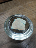 Vtg Yellowstone National Park Glass Paper Weight No Hugging Allowed Bear w/Tree!