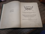 1917 Buffalo Bill Own Story His Life and Deeds Wild West Illustrated Photos Book